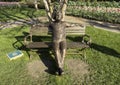 Bronze Albert Einstein sculpture by Gary Lee Price at the Dallas Arboretum in 2023.