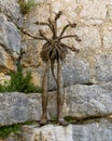 A bronze hydra sculpture outside in Gourdon Village, France