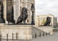 Bronze lion statues flanking the East entrance of the Hungarian Parliament Building, Budapest Royalty Free Stock Photo