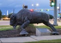 American Bison by Anita Pauwels, public art in Frisco, Texas. Royalty Free Stock Photo