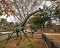 Bronze sculpture titled `Giraffe with Swing` by David Cargill at the Dallas City Zoo. Royalty Free Stock Photo