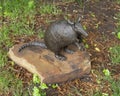 `Morning Star Armadillo` by David Iles in 2007, part of the public art collection of the City of Frisco, Texas. Royalty Free Stock Photo