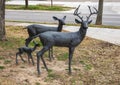 `White-tailed Deer` by David Iles on the campus of the University of North Texas in Denton, Texas.