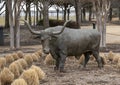 `Longhorn Bull`, a bronze sculpture by an unknown artist in McKinney, Texas. Royalty Free Stock Photo