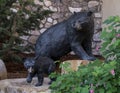 Bronze sculptures of a mother black bear and her cubs in Beaver Creek, Colorado.