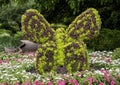 Butterfly topiary on display at the Fort Worth Botanic Garden, Texas.