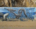 California Sea Lions part of a mural titled Sea Giants on the wall of an old tuna factory on Cosario Beach in Cabo San Lucas.