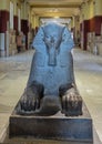 Carved granite sphinx statue inside the Museum of Egyptian Antiquities in Cairo, Egypt.