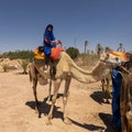 Female tourist who has successfully mounted her camel and is ready for a ride in Marrakesh, Morocco.