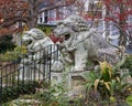 Chinese guardian Lions at the entrance to Dragon Park in the Oak Lawn neighborhood in Dallas, Texas.