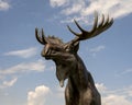 Shiras Moose by Jim Gilmore in front of LaFortune Park in Tulsa, Oklahoma.