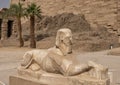 Damaged remains of a white marble sphinx in the first courtyard of the Temple of Amun at Karnak in Luxor, Egypt.