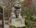 Male Chinese guardian Lion at the entrance to Dragon Park in the Oak Lawn neighborhood in Dallas, Texas.