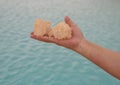 Korean female tourist holding large salt crystals beside one of the beautiful salt pools around the Siwa Oasis in Egypt.