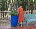 Female Korean tourist standing next to a blue pot with Ruscus aculeatus in the Jardin Majorelle in Marrakesh, Morocco.