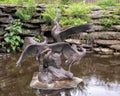 `Fishing Rock`, a bronze sculpture by Bob Guelich in the Forth Worth Botanic Garden, Texas. Royalty Free Stock Photo