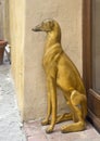 Gold leaf sitting whippet greyhound sculpture flanking a doorway in Pienza, Italy.