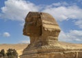 Head of The Great Sphinx of Giza, on the Giza Plateau in Giza, Egypt.