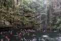 Ik Kil cenote in the Ik Kil Archaeological Park