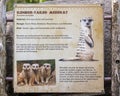 Information plaque for the slender-tailed meerkat at the Dallas Zoo in Texas.