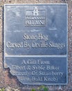 Info for ten-ton hog head carved from a limestone boulder by Orville Skaggs at the Alumni Building at the University of Arkansas.