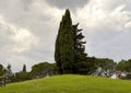 Italian Cypress trees atop the Hill of Calvary, Montecalvario, near Castellina in Chianti, Italy.