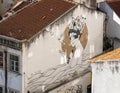 Large mural on the side of a building by artist Tami Hopf in Lisbon, Portugal.