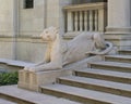 The left of two lioness sculptures by sculptor Edward Clark Potter flanking the 36th Street entrance of The Morgan Library & Museu