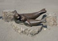 Bronze sculpture harbor-seal mother and pup, Alki Beach, Seattle, Washington