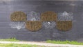 A mural by Alli Koch at the underpass where the historic Katy Trail passes over Hall Street in Uptown, Dallas, Texas.