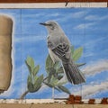Mural in Dallas, Texas featuring the mockingbird, the state bird of Texas.