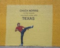 Mural featuring Chuck Norris on the side of a now vacant building in the Design District in Dallas, Texas.