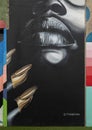 `Midas Midnight Kiss`, a mural by Jeremy Biggers in the Foundry District`s Inspirational Alley in Fort Worth, Texas.