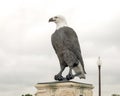 One of a pair of bald eagle sculptures at the entrance to the Veteran`s Memorial Park, Ennis, Texas