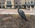 Bronze sculpture of a heron with McGloin Hall in the background on the campus of Creighton University in Omaha, Nebraska.