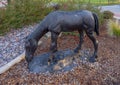 Bronze colt on a traffic circle in the City of Colleyville, Texas.