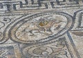 Volubilis mosaic featuring Hercules 2nd labor, Slay the Lernean Hydra.