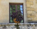 Planter with a burgandy Dalhia plant in full bloom in Saint Paul De Vence, France