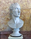 Plaster bust of Antonio Canova by a 19th century sculptor in the Museum of the Villa Carlotta in Tremezzo