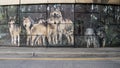 Belt Line Mural by Tommy Weddle depicting prairie scenes and wetlands from Grand Prairie's frontier days. Royalty Free Stock Photo