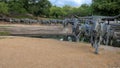 Portion of bronze steer sculpture in Pioneer Plaza in Dallas, Texas. Royalty Free Stock Photo