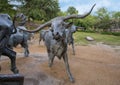 Portion of bronze steer sculpture in Pioneer Plaza in Dallas, Texas.