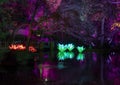 Japanese Gardens of the Fort Worth Botanic Gardens illuminated by Lightscape at Christmas in Texas.