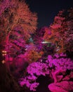 Japanese Gardens of the Fort Worth Botanic Gardens illuminated by Lightscape at Christmas in Texas.