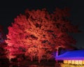 Japanese Gardens of the Fort Worth Botanic Gardens illuminated by Lightscape at Christmas in Texas.