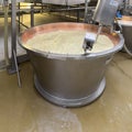 A production step in the making of Parmigiano Reggiano cheese in the San Silvestro Cooperative in Castelvetro di Modena, Italy.