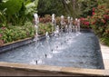 Rectangular fountain lined with plants and flowers at the Dallas Arboretum and Botanical Garden in Texas. Royalty Free Stock Photo