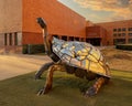 `Galapagos Tortoise` by Jon G. Bedford in front of the Fort Worth Museum School in Texas.