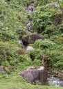 Small waterfalls, rocks and vegetation along Hai Van Pass, Vietnam