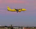 Spirit Airlines jet landing in the evening at Love Field in Dallas, Texas.